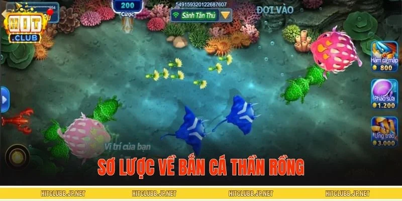 Tổng quan về bắn cá Thần Rồng
